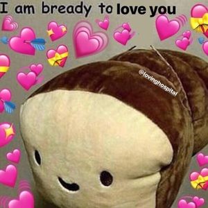 Meet your Posher, Noelle